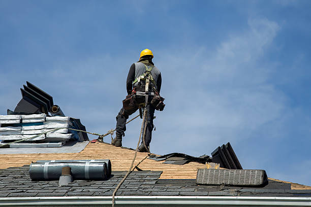 Professional Roof Repair technician working in Junction City, OR